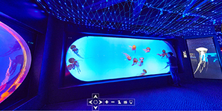 海洋館全景展示